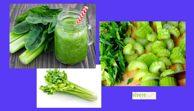 Il sedano è un ortaggio prezioso Il sedano è un ortaggio prezioso